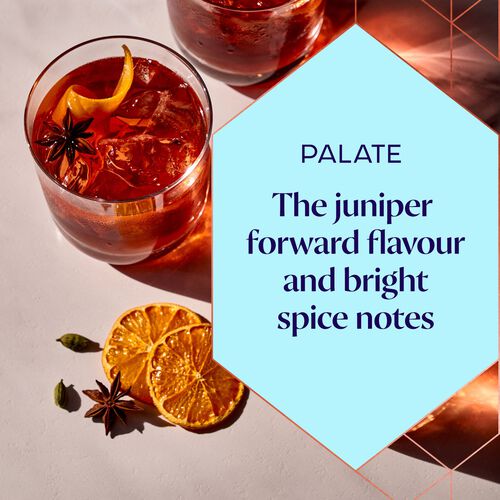 Bombay Sunset Gin 1L image number null