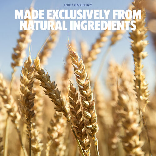 Absolut Original 100cl image number null