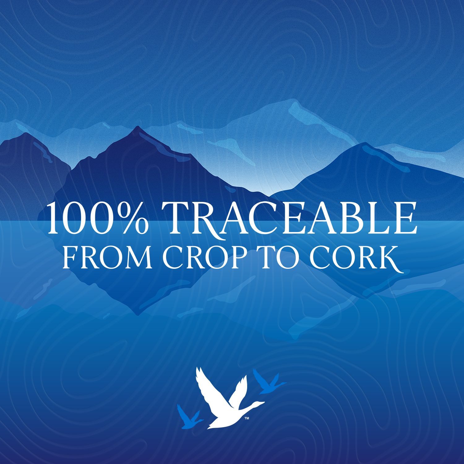 Premium Vodka 1L image number null