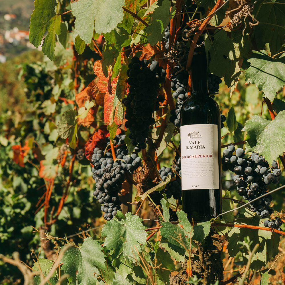 Vale D. Maria Douro Superior Tinto 2022 75cl image number null