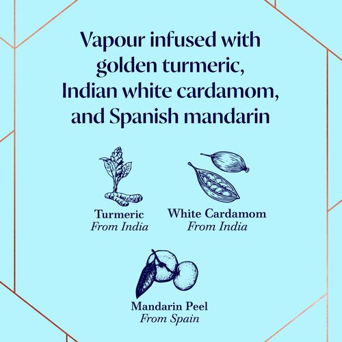 Bombay Sunset Gin 1L image number null