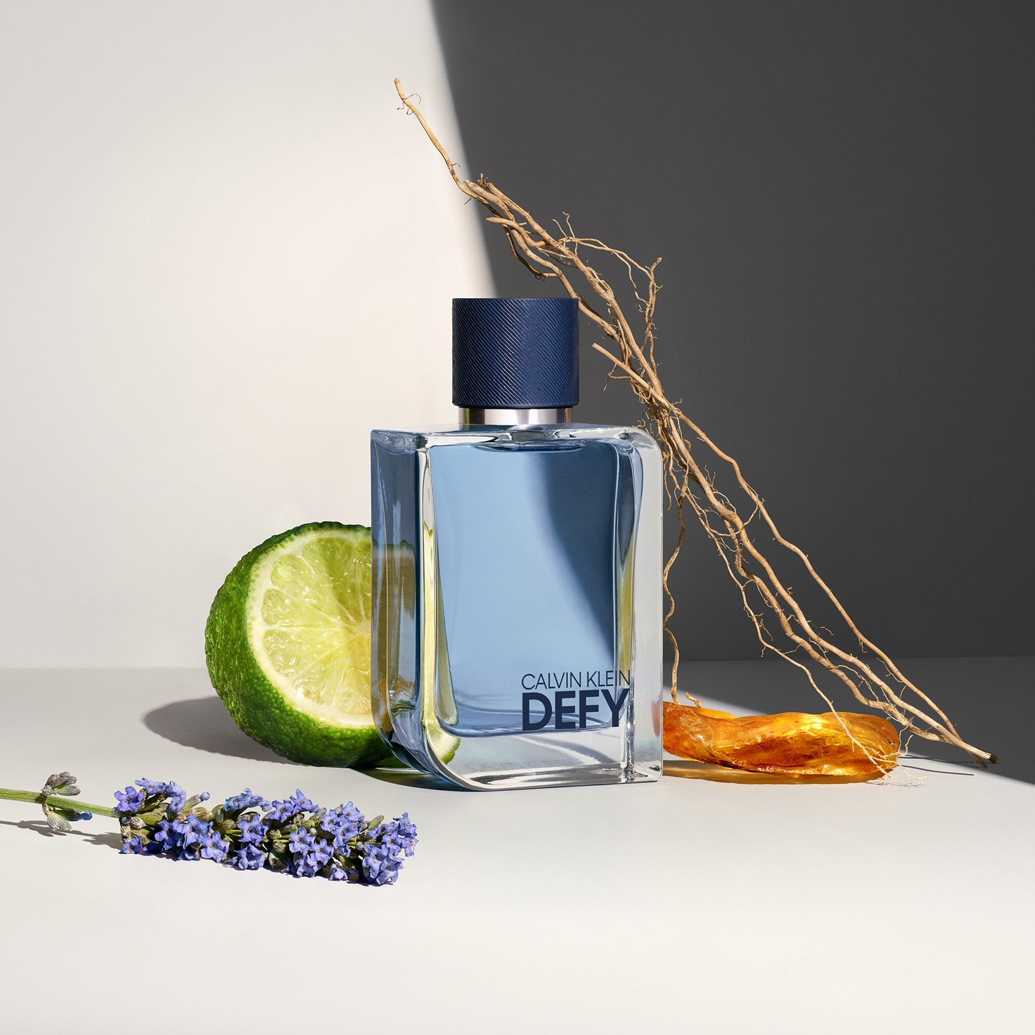 Defy Eau de Toilette 100ml image number null