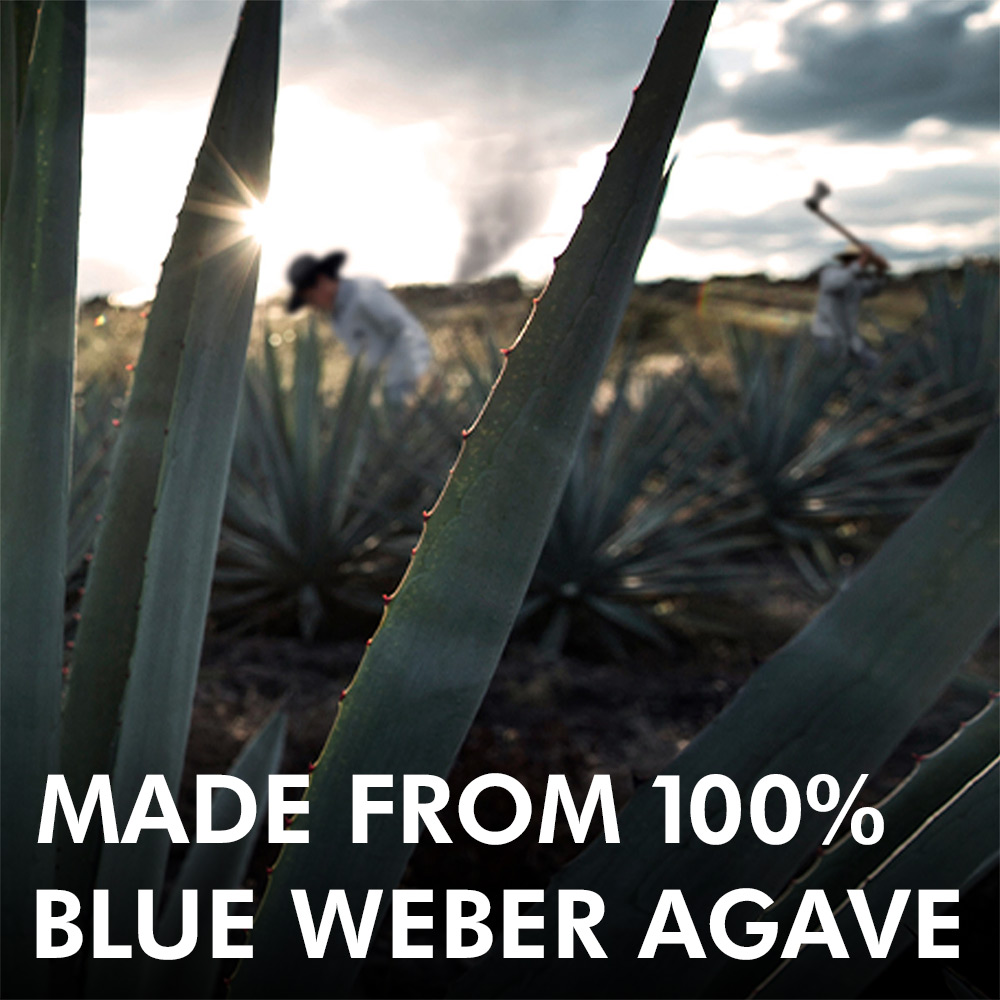 Casamigos Blanco Tequila 100cl image number null