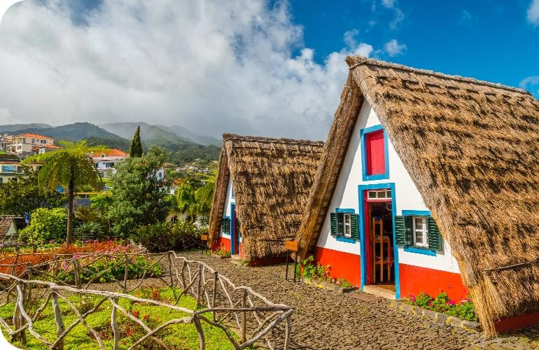 Madeira Airport Image